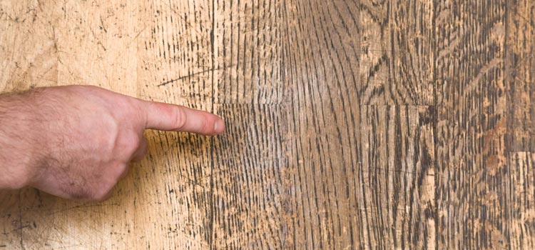 Wood Door Scratch Repair in South Whittier
